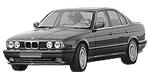 BMW E34 C208F Fault Code